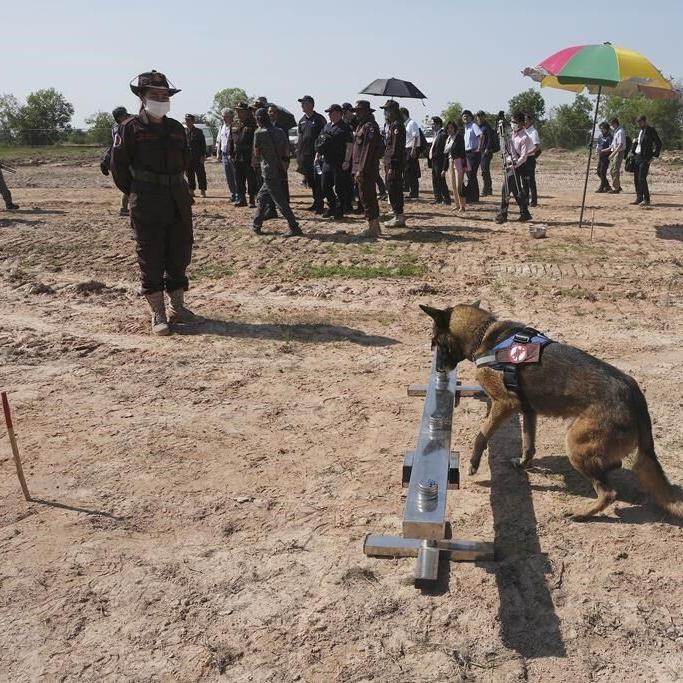 Japan partners with Cambodia to share demining knowledge with Ukraine, other countries
